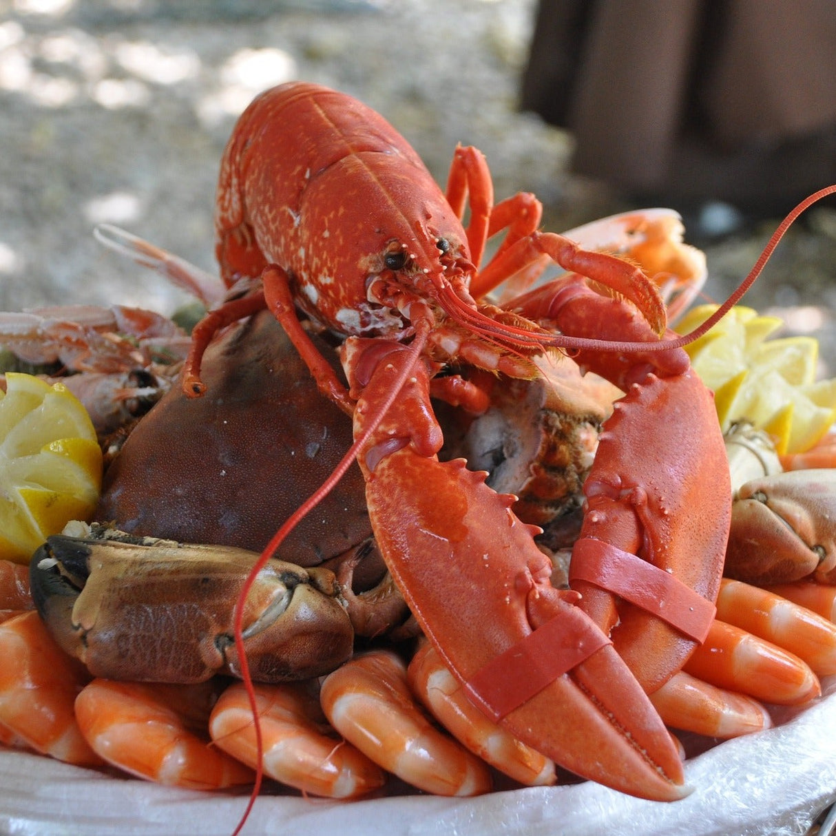 Bubba Gump Seafood Pack!