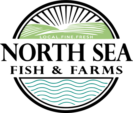 All Seafood Products